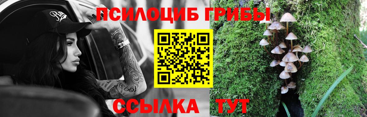 Галлюциногенные грибы мухоморы  Вход с VPN  Новочеркасск 